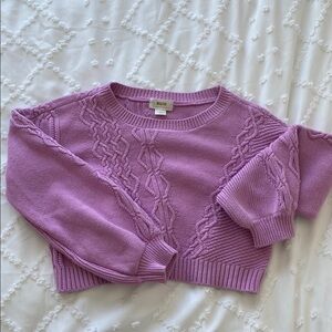 Anthropologie Cropped Cable Knit Sweater